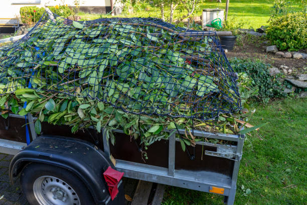 Best Shed Removal  in Lasalle, IL